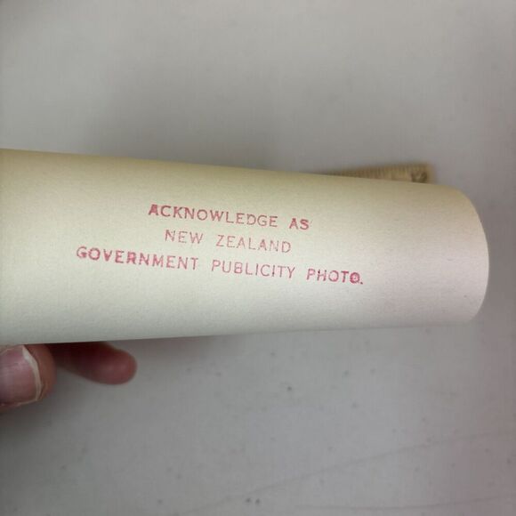 Original VTG New Zealand Government Publicity Photo Swordfish Caught @ Russell - Picture 6 of 6